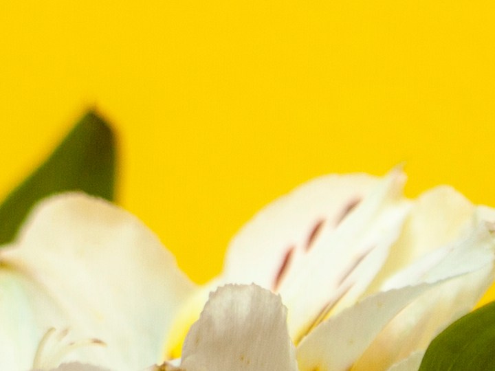 calendario de abril con flores