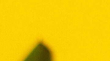 calendario de abril con flores