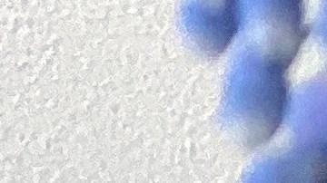 Consigue ldescuentos especiales en estos días finales de Pascua emn ñps Estados Unidos