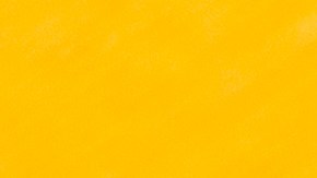 Conoce la función de la nueva etiqueta de productos de Amazon q