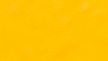 Conoce la función de la nueva etiqueta de productos de Amazon q