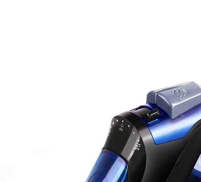 Plancha a vapor de uso profesional PurSteam World's Best Steamers