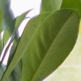 Encuentrta las mejores parrillas para el verano en Lowe's y Walmart