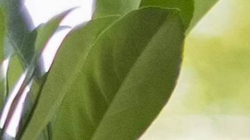 Encuentrta las mejores parrillas para el verano en Lowe's y Walmart