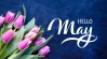 hello may