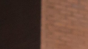 Consigue productos de belleza y cuidado personal por tan solo $1.25 en Dollar Tree