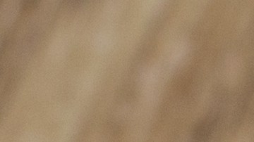 Aprende cuales son las categorias de productos más recomendadas para invertir en el mes de junio