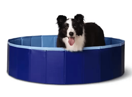 Piscina para mascotas