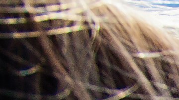 Anticipate a las promociones que conseguiras en los Estados Unidos por el próximo 4 de Julio