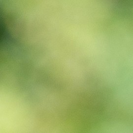 Aprende los nombres de algunas tiendas que apoyarán a la comunidad LGTBQ+ en su día