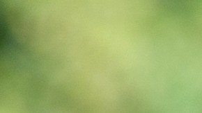 Aprende los nombres de algunas tiendas que apoyarán a la comunidad LGTBQ+ en su día