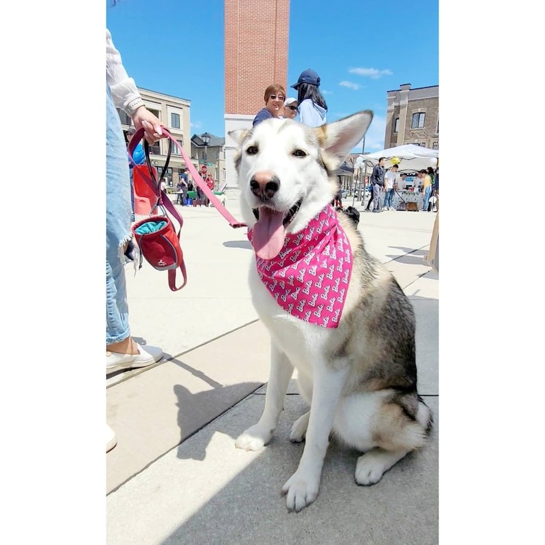 Bandana para perros con temática de Barbie