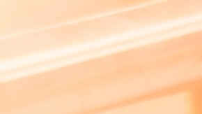 Aprende un poco más sobre los productos adaptativos que tiene Walmart disponibles en su página web.