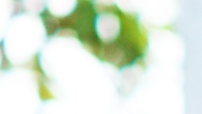 Encuentra los mejores precios en uniformes escolares en el mes de julio