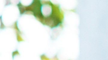 Encuentra los mejores precios en uniformes escolares en el mes de julio