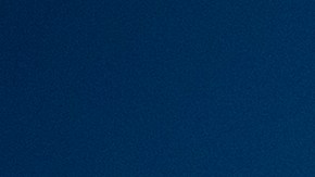 Aprende a como validar el inventario de productos de Costco