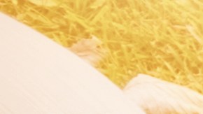 estudiantes universitarios