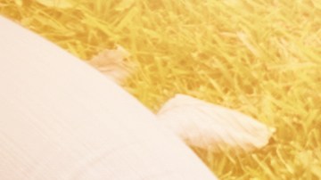 estudiantes universitarios