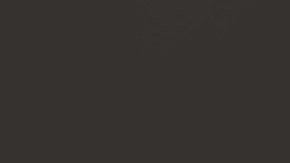 organizacion digital