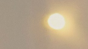 Conoce algunas opciones interesantes de anillos de compromiso a buenos precios