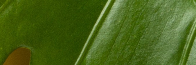 Productos de skincare que favorecen el cuidado de la piel en Otoño