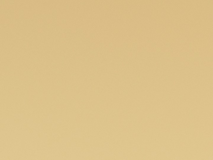 Productos para el hogar que hacen tu vida más fácil y que puedes comprar en línea con tu tarjeta de crédito