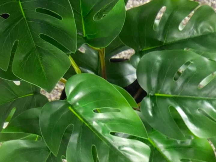 tecnologia en amazon