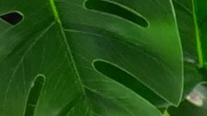 tecnologia en amazon