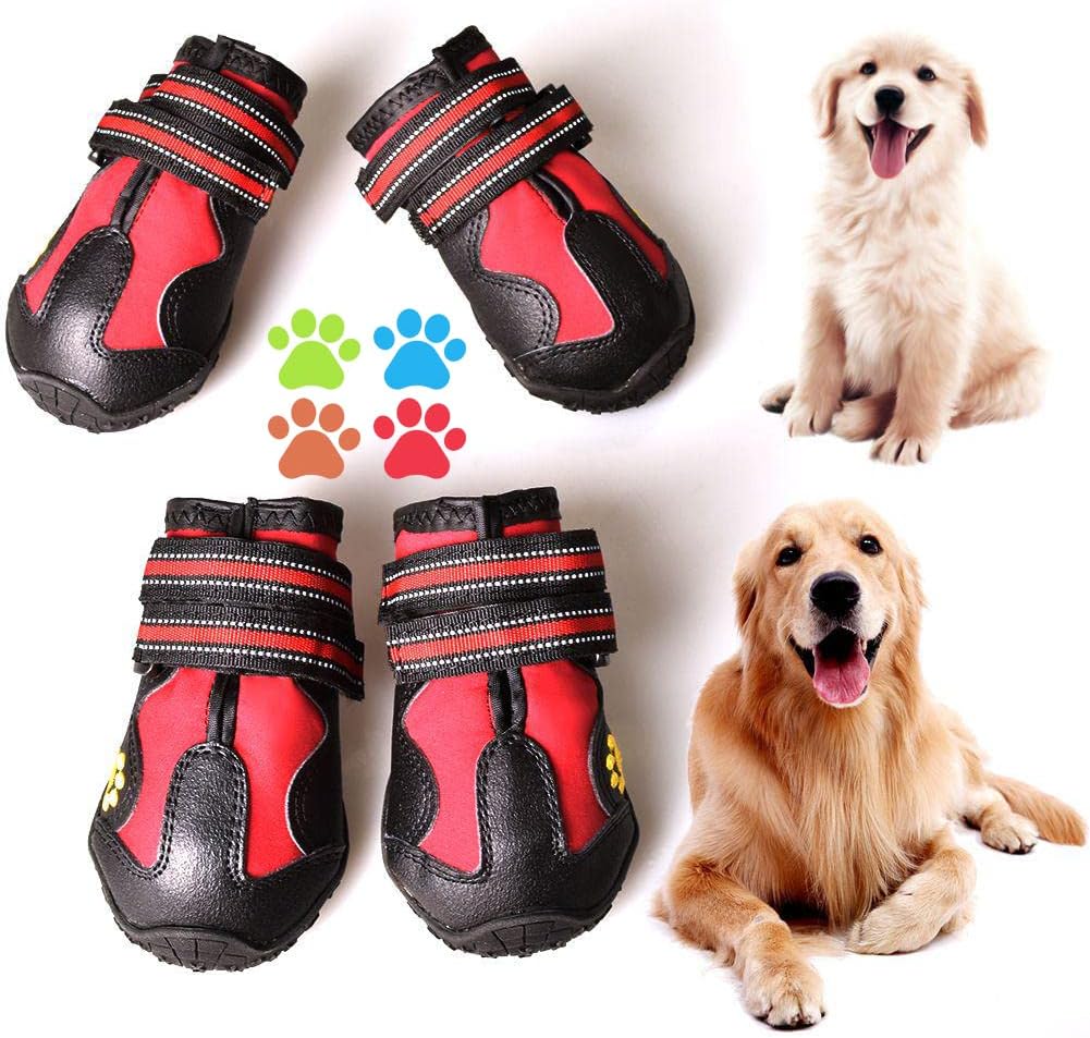 Zapatos para perros