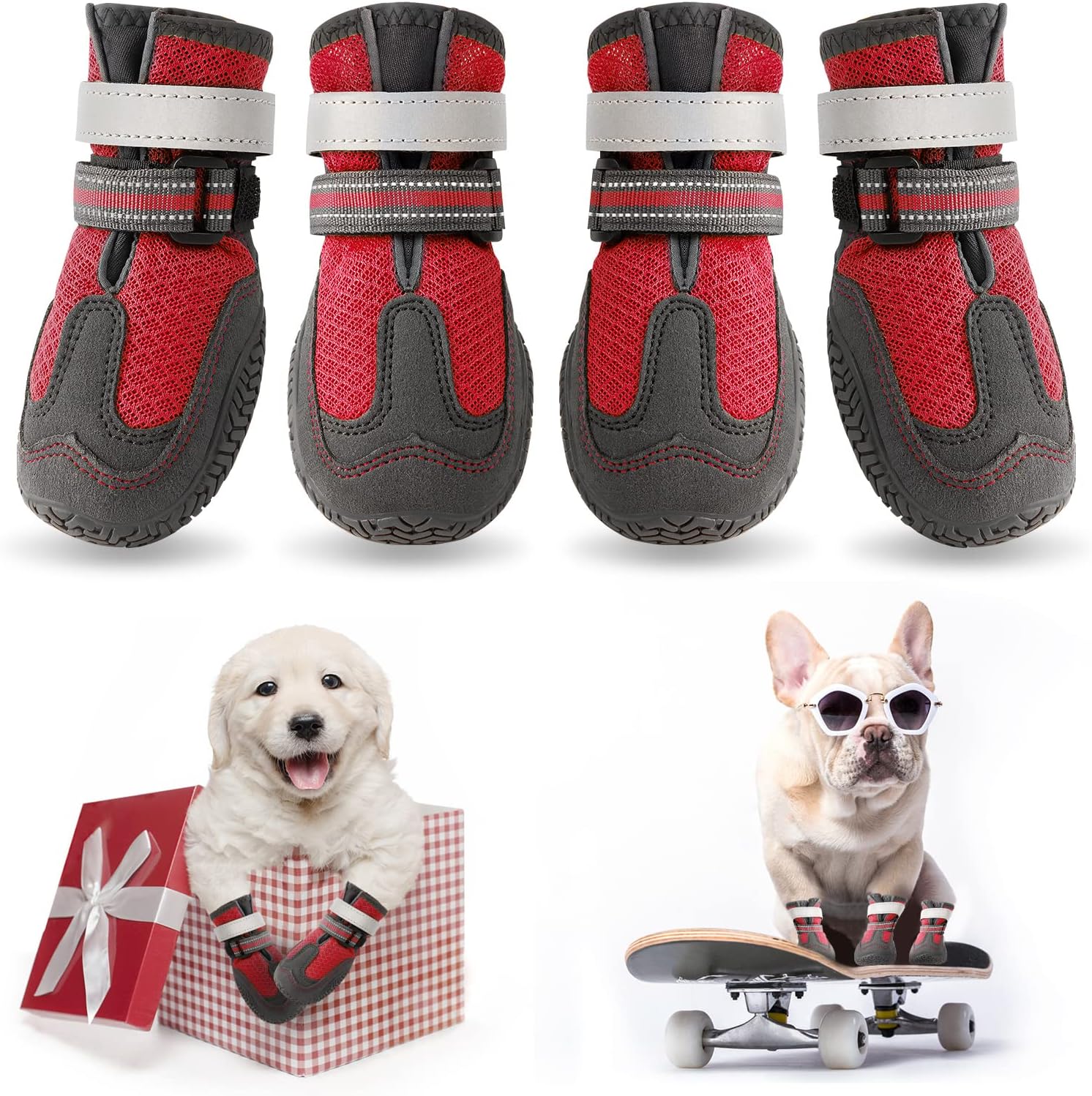 Zapatos para perros