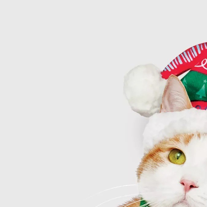 Sombrero de navidad para mascotas Wondershop