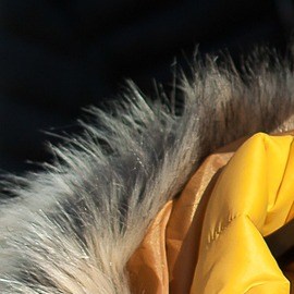 Algunas chaquetas para invierno en descuento