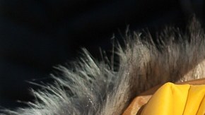 Algunas chaquetas para invierno en descuento