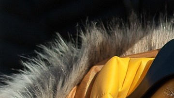 Algunas chaquetas para invierno en descuento