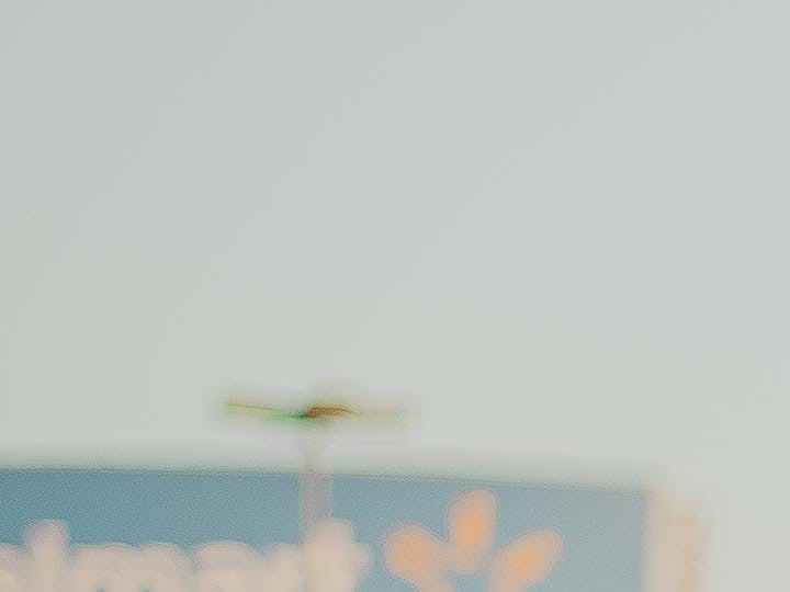 Desde sábanas hasta comida, consigue ofertas únicas en Walmart