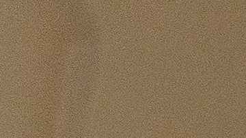 Celebra Thanksgiving