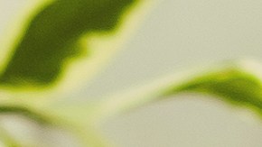 De esta manera podrás encontrar vuelos económicos a destinos populares