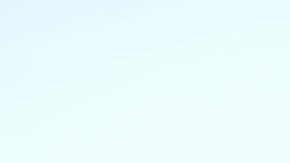 Conoce más sobre esta marca tan viral