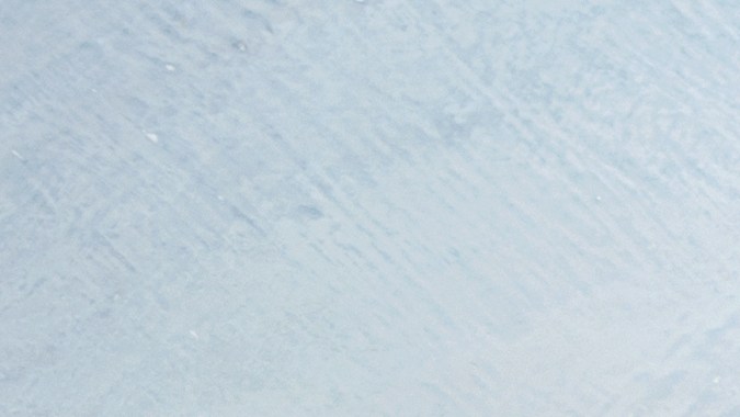 Disfruta de comida sana y saludable