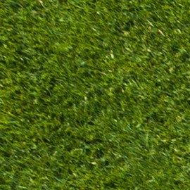 Consigue ofertas únicas en jardinería