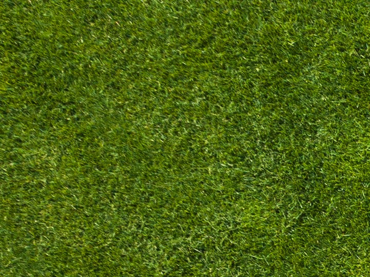 Consigue ofertas únicas en jardinería