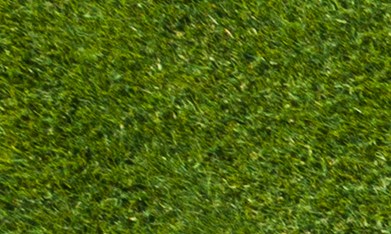 Consigue ofertas únicas en jardinería