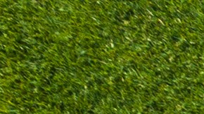 Consigue ofertas únicas en jardinería