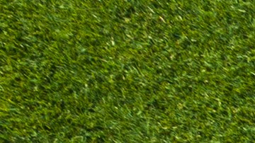 Consigue ofertas únicas en jardinería