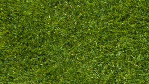 Consigue ofertas únicas en jardinería