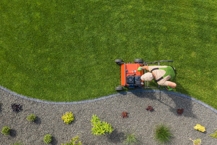 Consigue ofertas únicas en jardinería