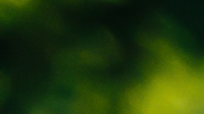 Aprovecha las ofertas en carriolas para bebes