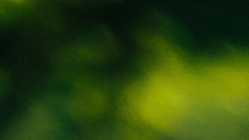 Aprovecha las ofertas en carriolas para bebes