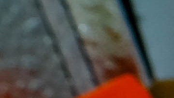 Estos zapatos son de los más buscado en google en 2023