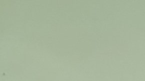 Todo sobre los productos Caraway